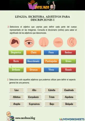 Lengua. Escritura. Adjetivos para descripciones I