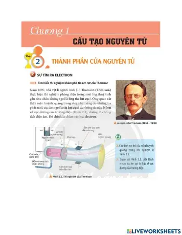 Thành phần nguyên tử