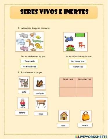 Seres vivos e inertes