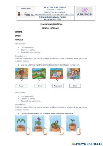 Evaluación diagnostica