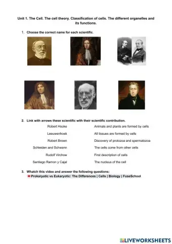 The cell theory. Characteristics of cells. Classification