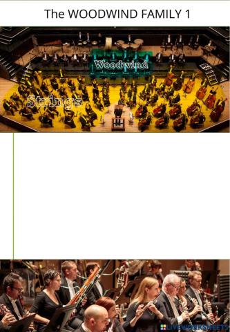 Woodwind 1