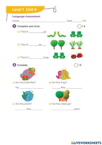Exam unit 6 happy campers