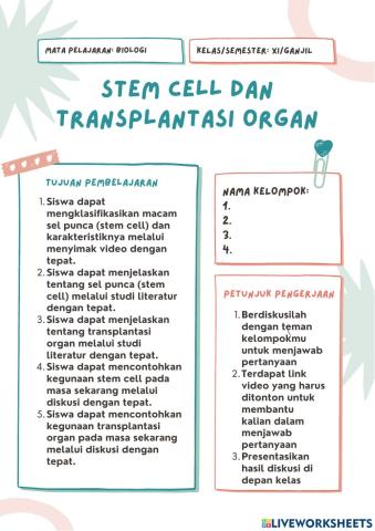 Stem cell