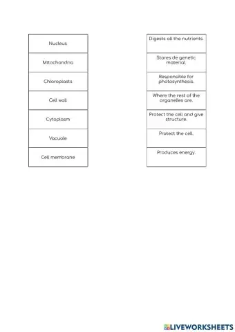 Functions parts of the cell