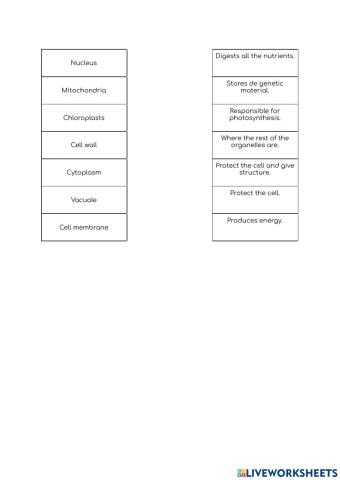 Functions parts of the cell