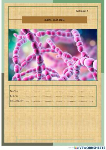 LKPD Interaktif Pertemuan 3 Biologi Klasifikasi Makhluk Hidup