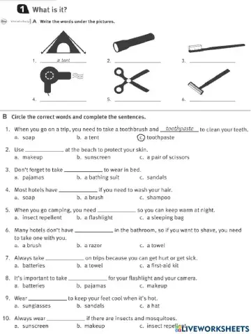 Traveling Items - Vocabulary