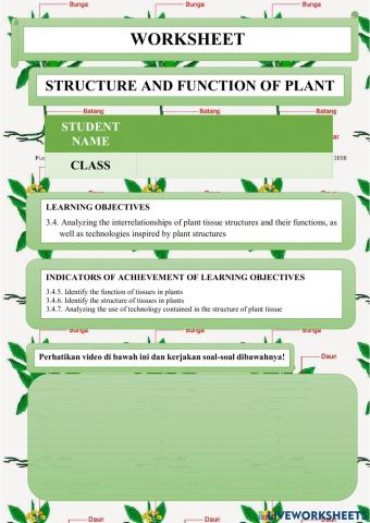 Structure and function of plant