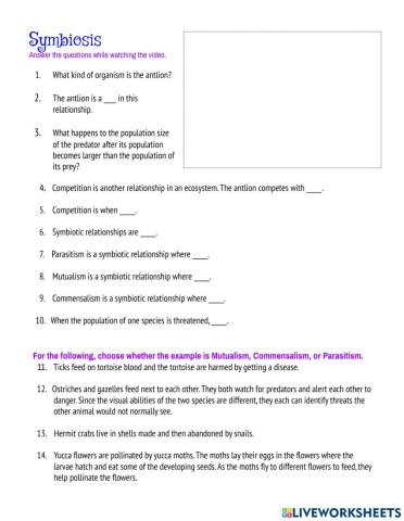 Ecological Relationships