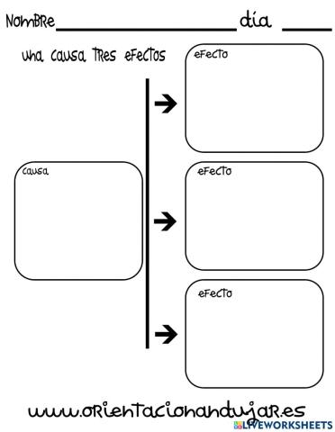 Organizador gráfico