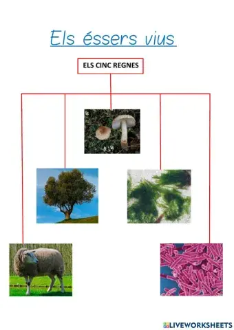 Els éssers vius