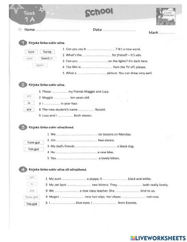 School Test 1A Unit 1