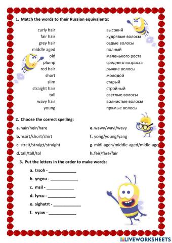 Describing appearance