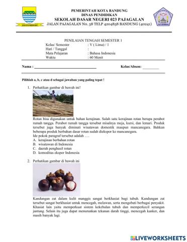 PAT Bahasa Indonesia S1 2022