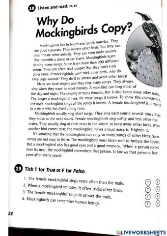 Reading. Why Do Mockingbirds Copy?