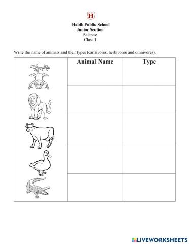 Science-Sorting Animals