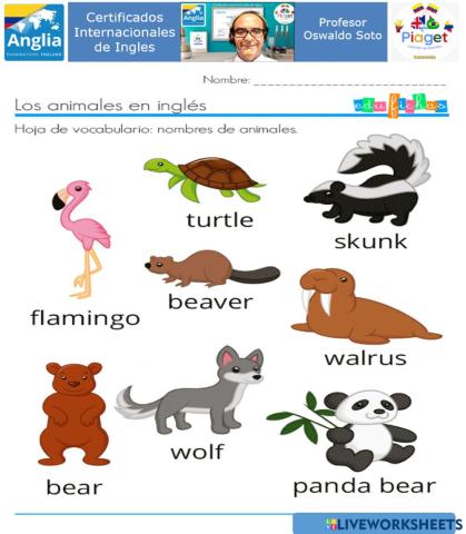 Animales In English page 14