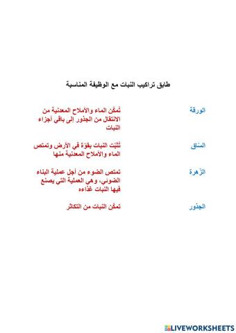 ملائمة تراكيب النبات مع الوظيفة
