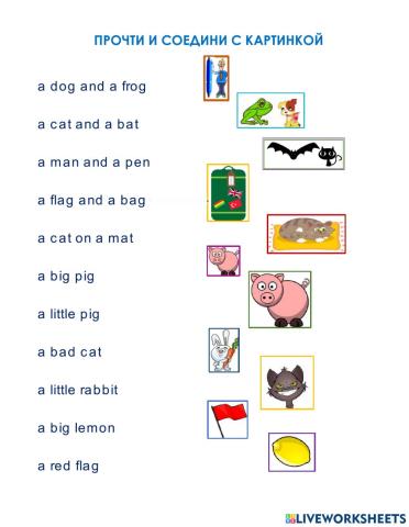 Прочти и соедини с картинкой