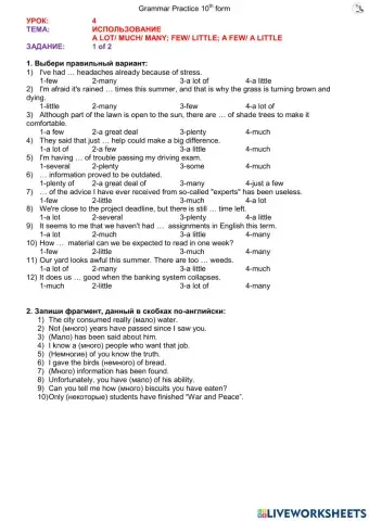 Lesson 4 (10th form, ex3)