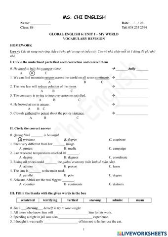 Foreign Teacher-S6-WEEK 7-U1-VOCAB REVISION