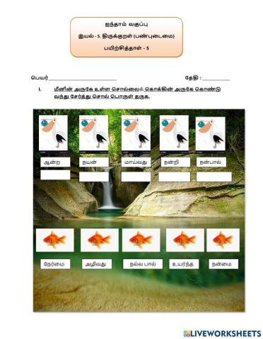 ஐந்தாம் வகுப்பு பயிற்சித்தாள்