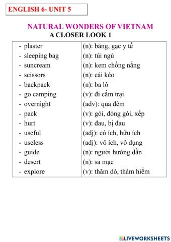 English 6- unit 5- a closer 1