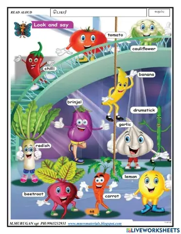 English - vocabulary