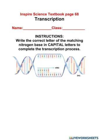 Transcription Page 68