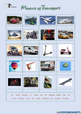 Means of transport