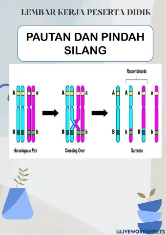 Pautan pindah silang