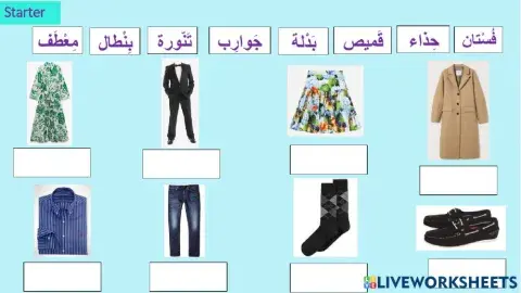 Clothes Items starter