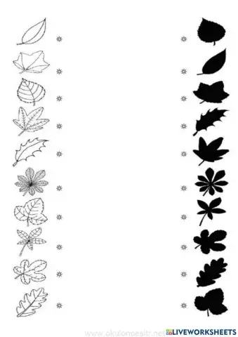 Φθινοπωρινά Φύλλα