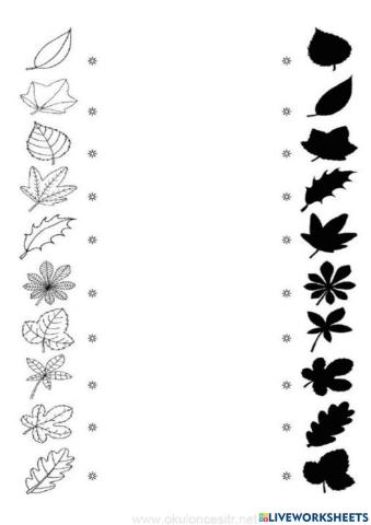 Φθινοπωρινά Φύλλα