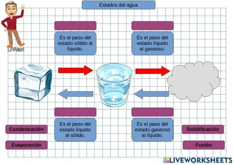 Los estados del agua