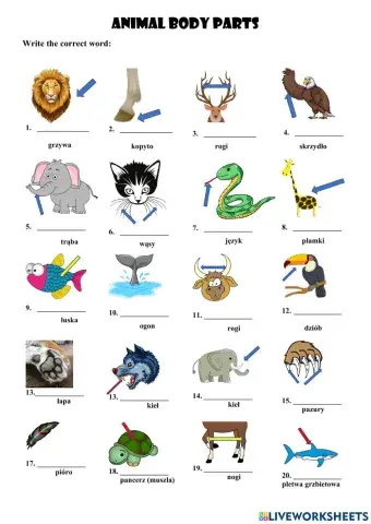 Animal parts of the body - without words