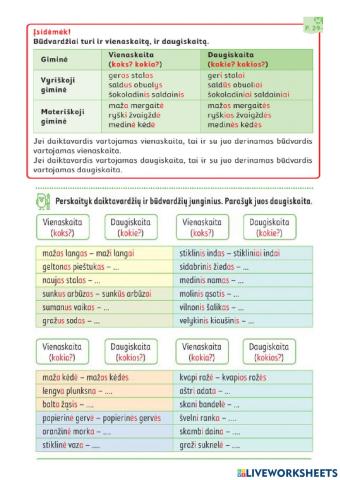 Daiktavardžių ir būdvardžių dgs.
