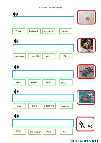 Under the sea (was-were) 3