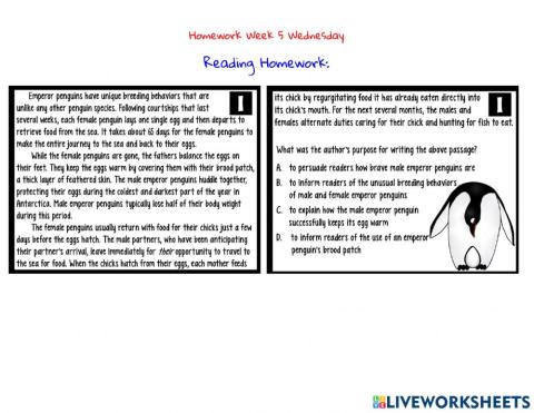 Homework Week 5 Wednesday