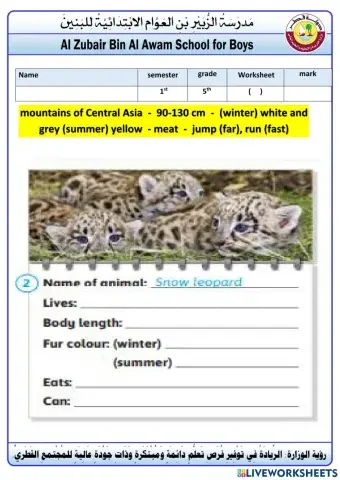 Worksheet 2 SNOW LEOPARDS