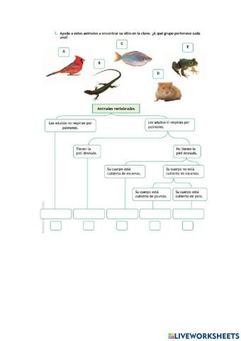 Los animales vertebrados