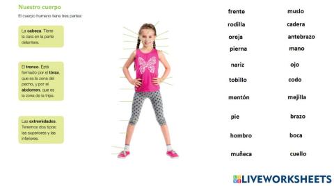 Partes del cuerpo, 3 primaria