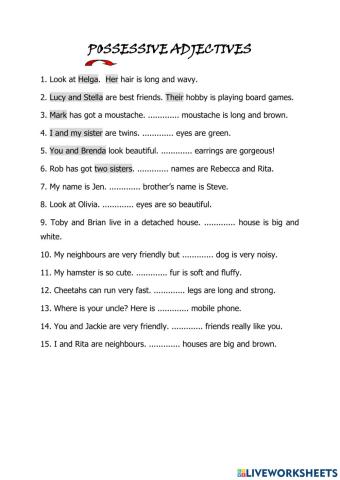 Possessive Adjectives Exercise