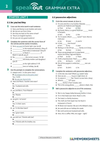 Speak Out starter Grammar U 2