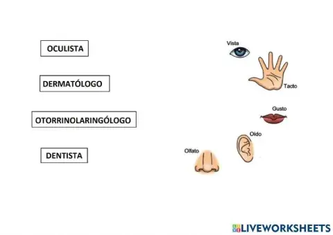 Médicos de los sentidos