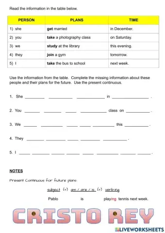 Plans for the future