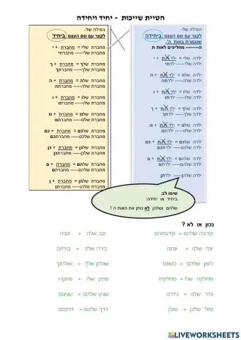 הטיית שייכות יחיד יחידה2