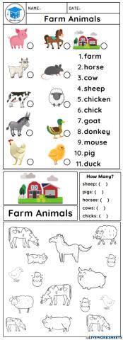 Farm Animals
