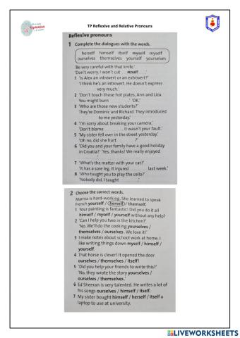 TP Reflexive and Relative Pronouns